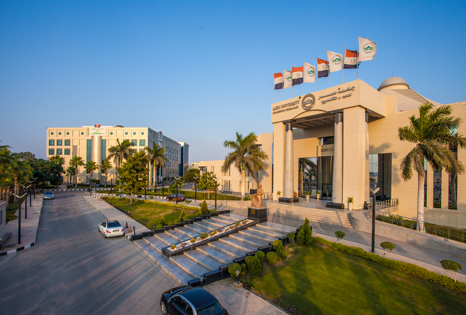 كلية اللغات والترجمة جامعة مصر للعلوم والتكنولوجيا MUST