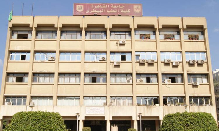 كلية الطب البيطري جامعة القاهرة الأهلية
