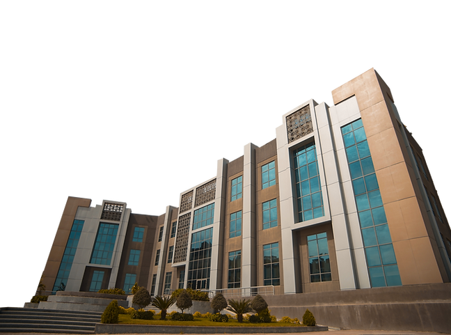كلية التمريض جامعة مايو بالقاهرة 
