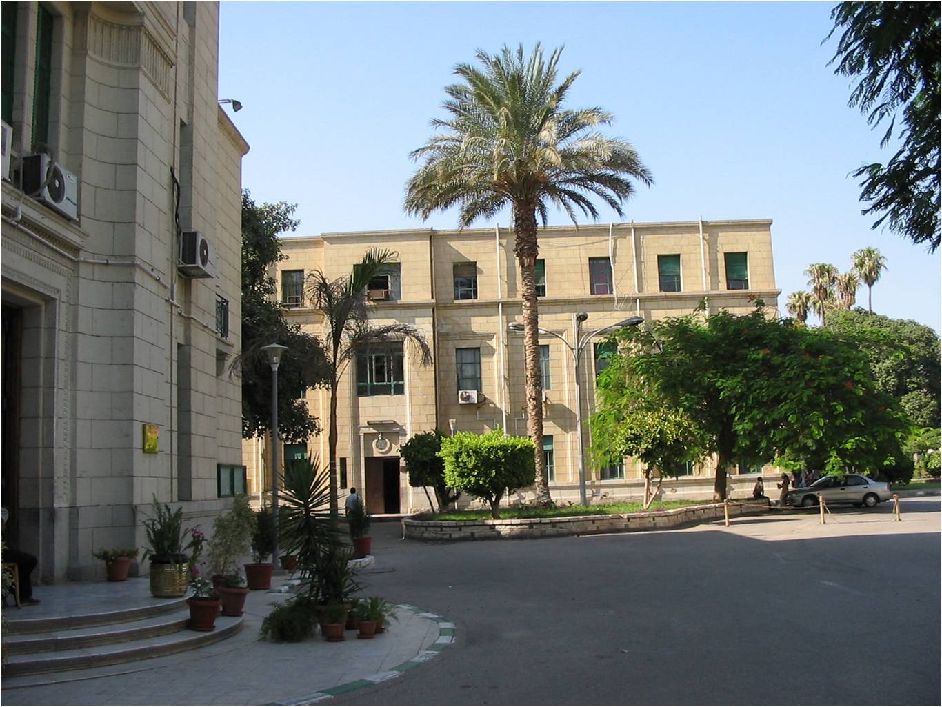 كلية العلوم جامعة القاهرة الأهلية