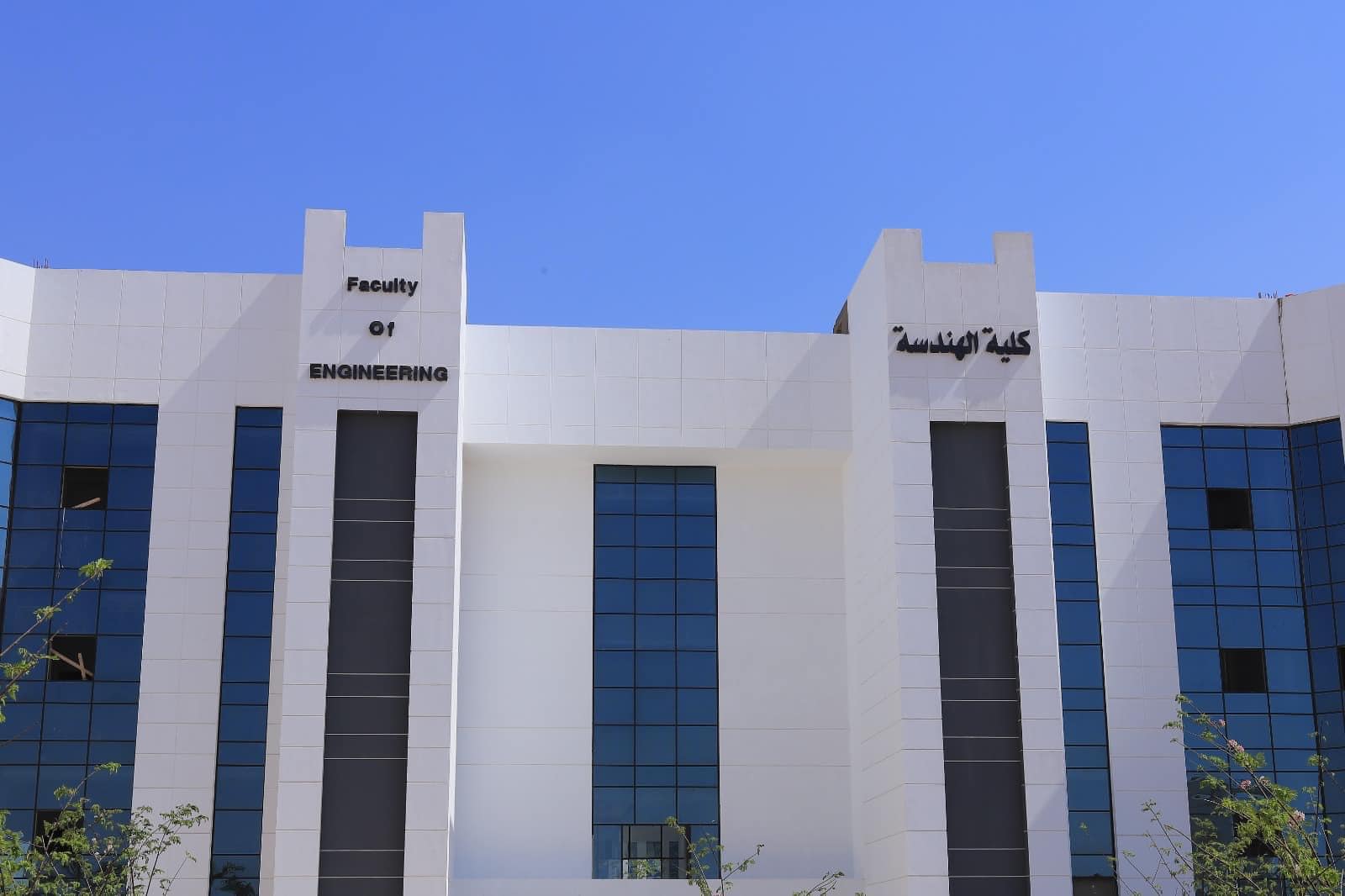 كلية الهندسة جامعة الريادة