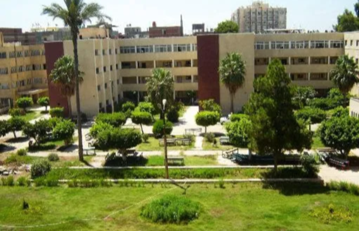 كلية الفنون التطبيقية جامعة دمياط
