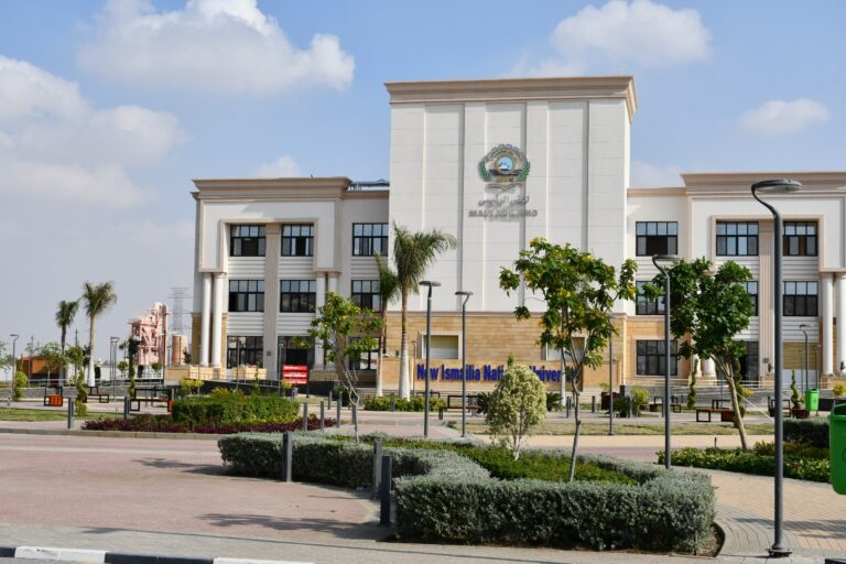 كلية الهندسة جامعة الإسماعيلية الجديدة الأهلية