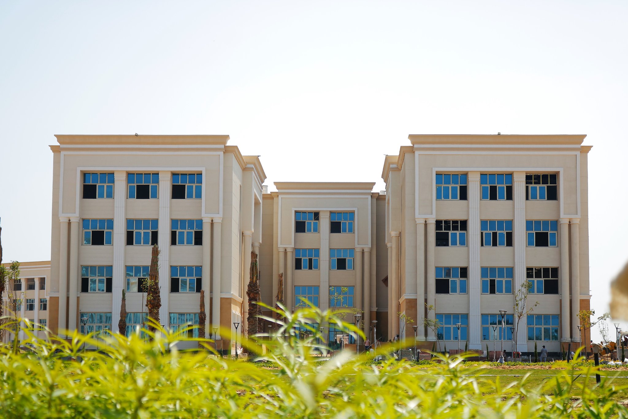 كلية الاقتصاد والعلوم الإدارية جامعة المنصورة الأهلية 
